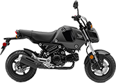 Mini Bikes