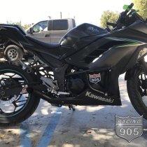 Stunt Armor Ninja 300 2013-16